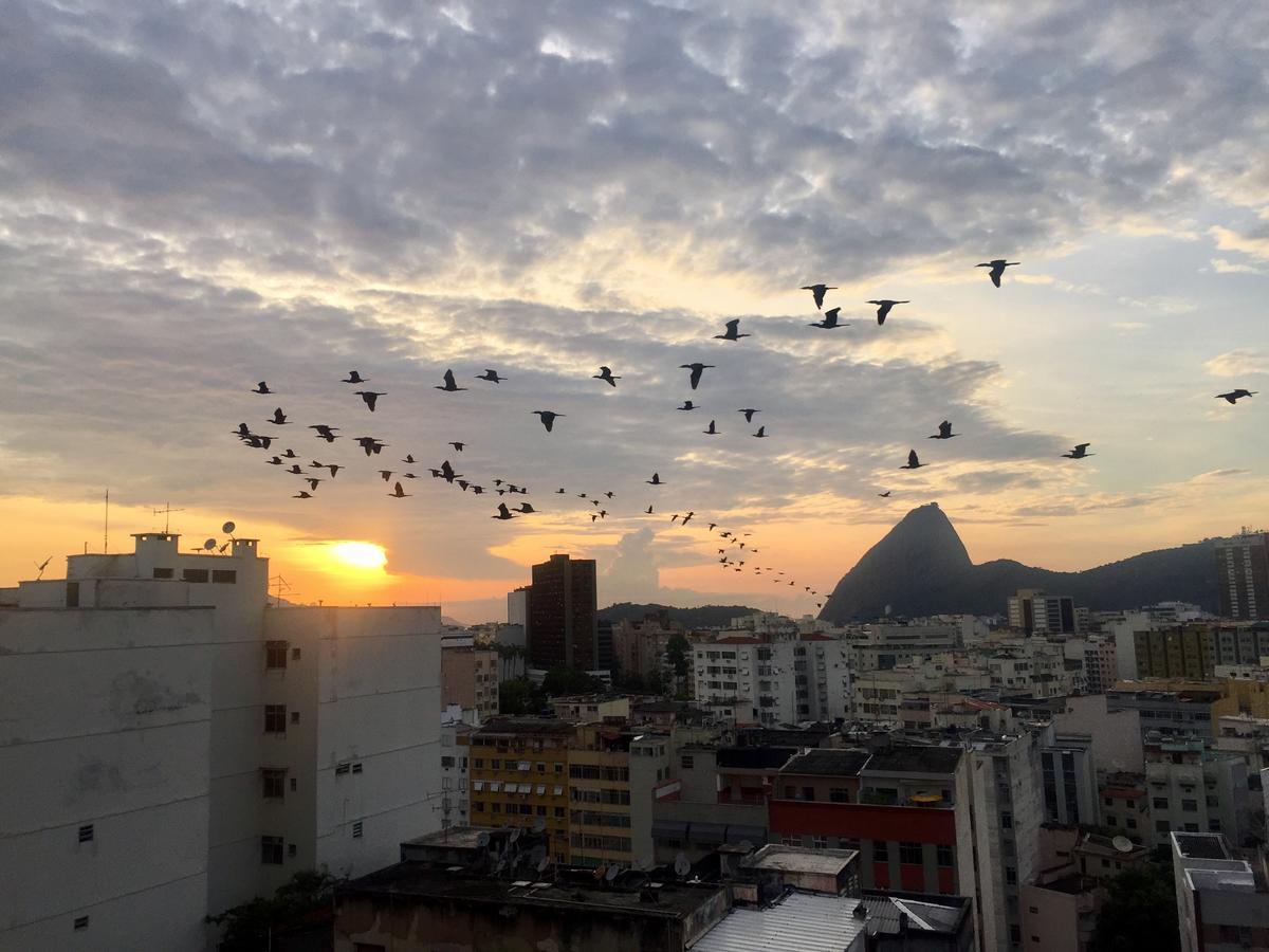 Loft Catete Apartman Rio de Janeiro Kültér fotó